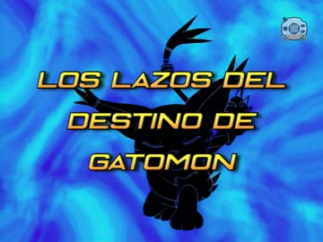 34 Los lazos del destino de Gatomon